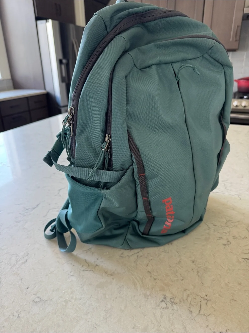 Patagonia sturdy backpack